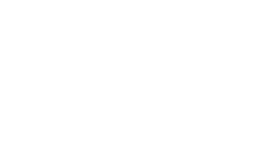 lvsi logo